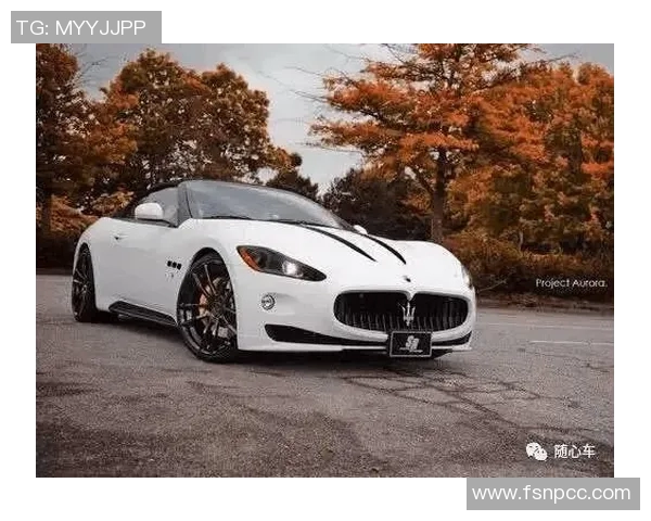 足球明星的财富揭秘他们的奢华生活与豪华座驾图片展示