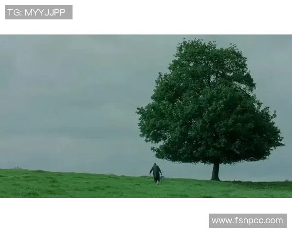 早逝的足球明星们他们的传奇人生与未竟的梦想